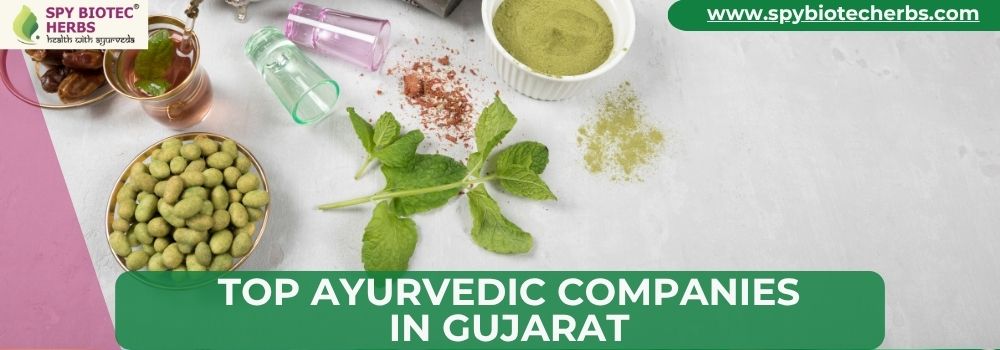 Top Ayurvedic Companies in Gujarat