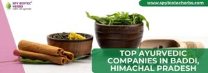 Top Ayurvedic Companies In Baddi, Himachal Pradesh