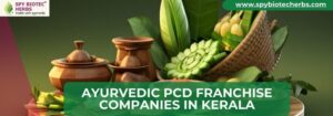 Ayurvedic PCD Franchise Companies in Kerala