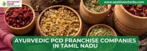Ayurvedic PCD Franchise Companies in Tamil Nadu