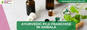Ayurvedic PCD Franchise in Ambala