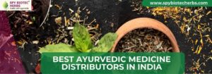 Best Ayurvedic Medicine Distributors in India