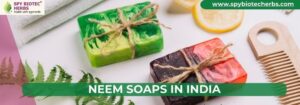 Top Neem Soaps in India