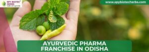 Ayurvedic Franchise in Odisha