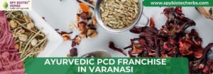 Ayurvedic Franchise in Varanasi