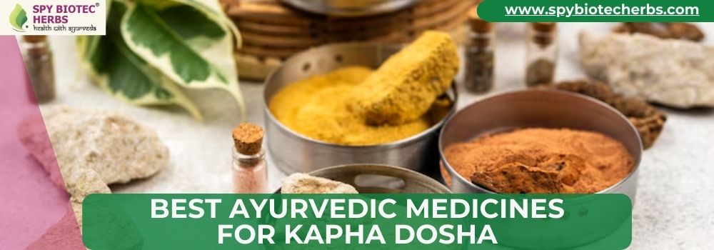 Best Ayurvedic Medicines for Kapha Dosha