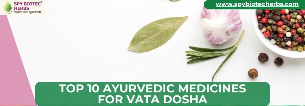 Top 10 Ayurvedic Medicines for Vata Dosha