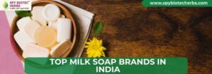 Top Milk Soap Brands in India