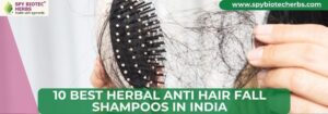 Top 10 Best Herbal Hair Fall Shampoos In India