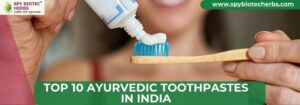 Top 10 Ayurvedic Toothpastes in India