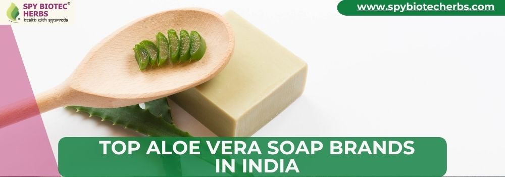 Top Aloe Vera Soap Brands in India