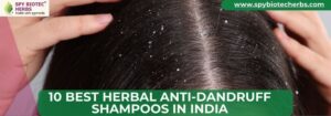 Best Herbal Anti-Dandruff Shampoos in India