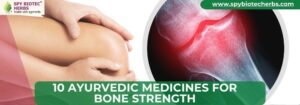 10 Ayurvedic Medicines for Bone Strength