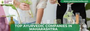 Top Ayurvedic Companies in Maharashtra