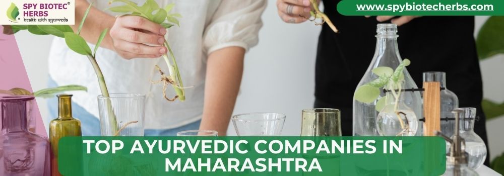 Top Ayurvedic Companies in Maharashtra
