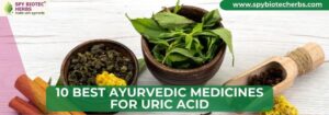 10 Best Ayurvedic Medicines for Uric Acid
