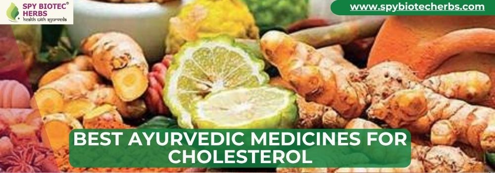 Best Ayurvedic Medicines for Cholesterol