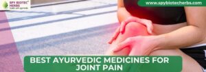 Best Ayurvedic Medicines for Joint Pain