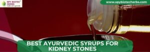 Best Ayurvedic Syrups for Kidney Stones
