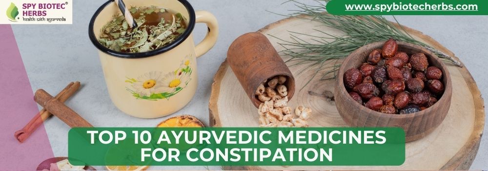 Top 10 Ayurvedic Medicines for Constipation