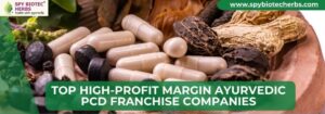 Top High-Profit Margin Ayurvedic PCD Franchise Companies