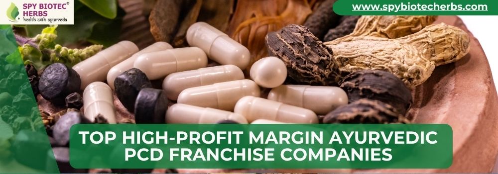 Top High-Profit Margin Ayurvedic PCD Franchise Companies