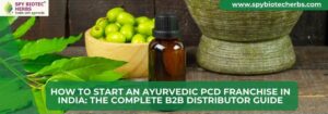 How to Start an Ayurvedic PCD Franchise in India: The Complete B2B Distributor Guide