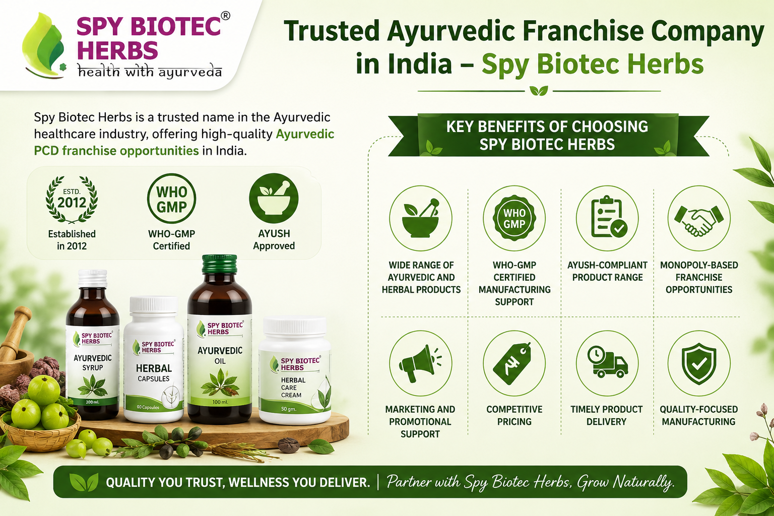 Trusted Ayurvedic Franchise Company in India – Spy Biotec Herbs