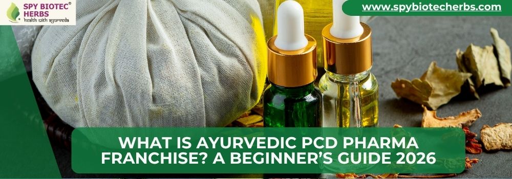 What is Ayurvedic PCD Pharma Franchise A Beginner’s Guide 2026