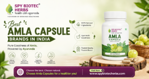 Best Amla Capsule Brands in India